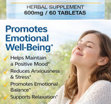 WELLNESS Natural Treatment for Depression